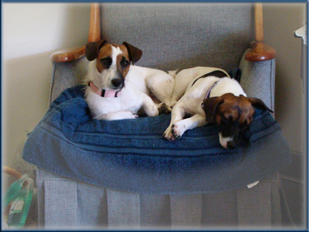 DSC00777_Riz-Opal_at_Lus_Hair_Dus